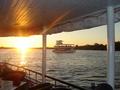 Safari durch den berühmten Chobe, Vic Falls,
